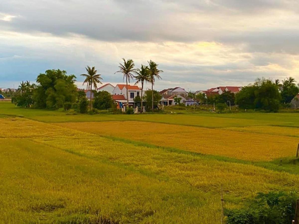 Hoi An Paddy House Homestay Zewnętrze zdjęcie