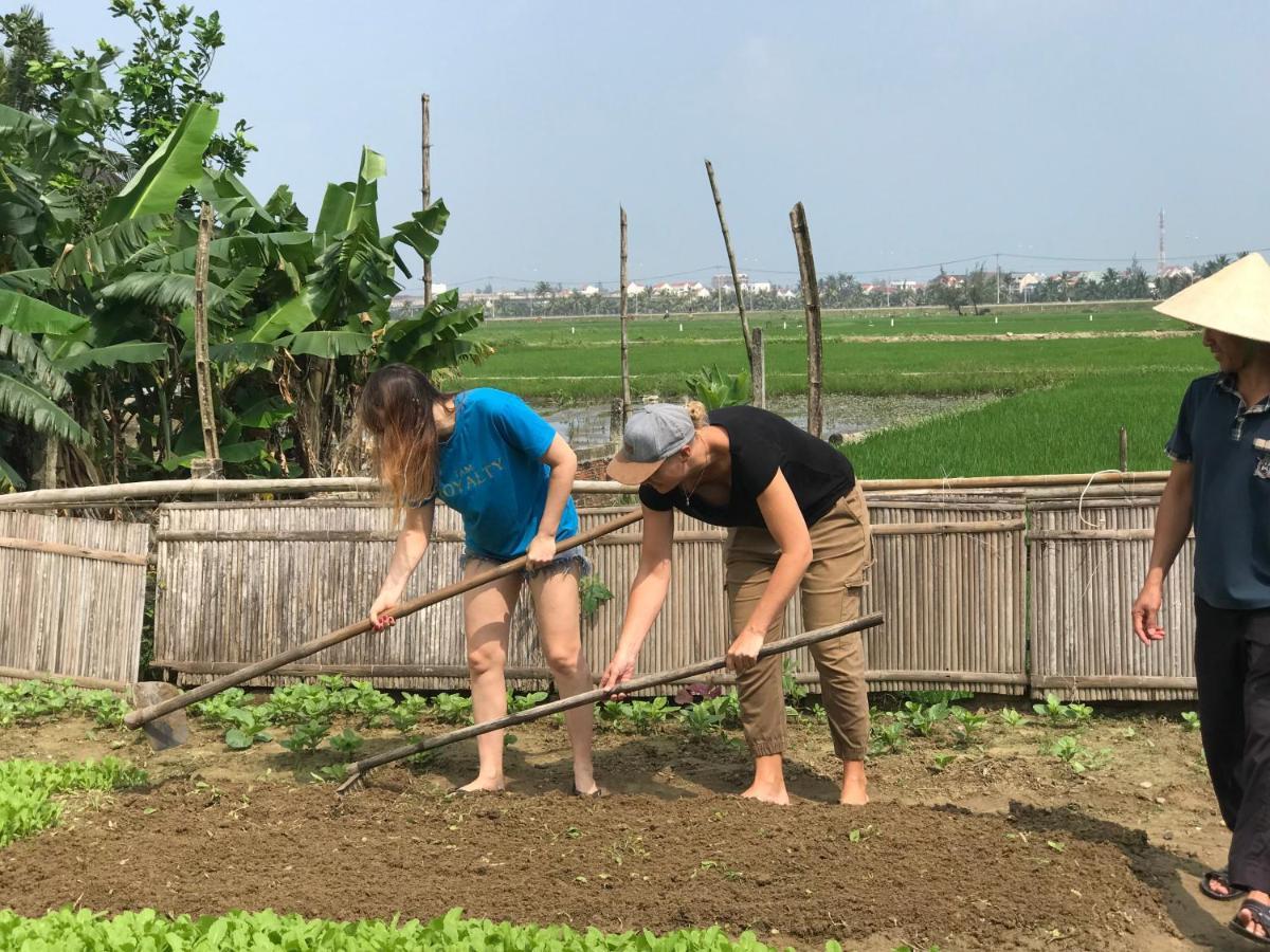 Hoi An Paddy House Homestay Zewnętrze zdjęcie